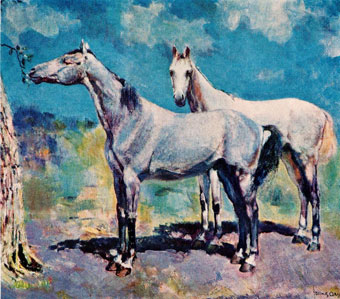 Frans D. Oerder Two white horses" - oil - 65x86 cm