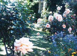 View of Fred Schimmel's main house, Melville, Johannesburg