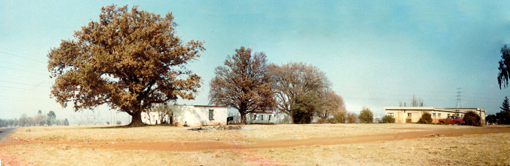 Mofolo Park Soweto in 1980 (comp. pic. The Haenggi Foundation Inc.)